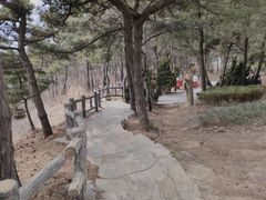 -燕窝岭