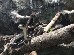 -重庆动物园·东二门售票处