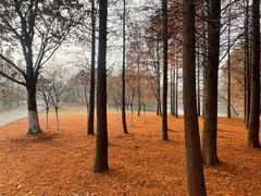 -梁鸿国家湿地公园