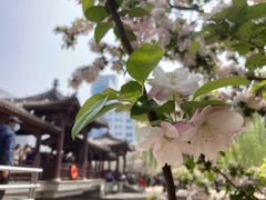 -元大都城垣遗址公园