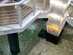 -宝燕海鲜(好爱店)