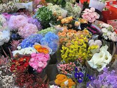 -双季花艺园艺市场(浦东店)