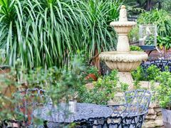 -more than meow吴止猫主题餐厅(承德 中船汇店)