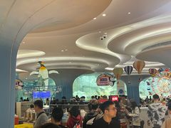 -帝企鹅自助餐厅•儿童岛•真企鹅(长隆企鹅酒店)