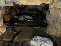 -蓬莱欧乐堡海洋极地世界