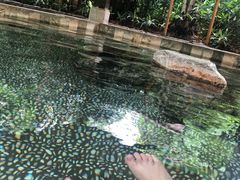 -厦门日月谷温泉渡假村