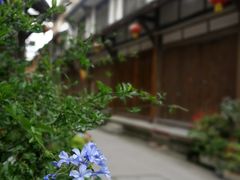 -海窝子古镇