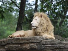 -杭州野生动物世界