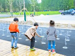 -黄海国家森林公园