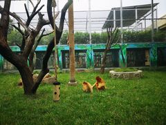 -西安秦岭野生动物园