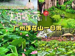 -广州莲花山旅游区