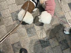 -LUNEURS月乐诗·烘焙甜品(前滩太古里店)