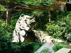 -虎跑公园
