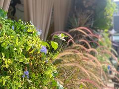 -The Flowers Coffee(南山店)