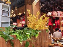 -老滇山寨•云南特色菜•地方菜•民族风情歌舞表演(金碧店)