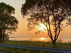 -西京湾花海