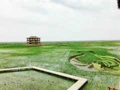 -红海滩国家风景廊道