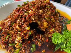 炝锅刺婆-稻香村鱼庄