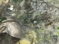 -老奇味(后田街店)