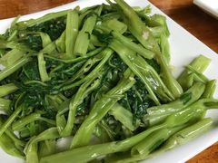 -优之名鹅城