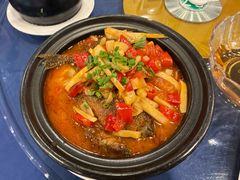 -金龙寨(龙城路店)