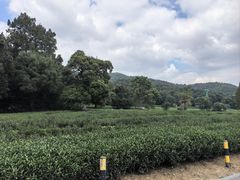 -灵顺寺