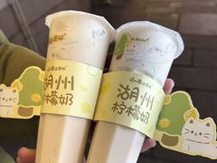 -猫的魔法密林(衣裳街店)