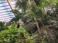 -龙达温泉生态城