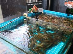 -渡海小渔村.老辈日照菜