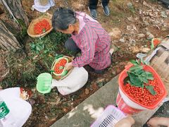 -樱桃山旅游景区