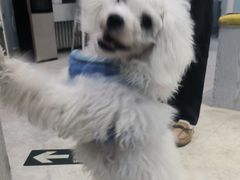 -纳吉亚猫专科动物医院·北北分院