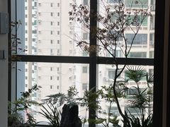 -四方茶集·茶馆(南山科技园店)