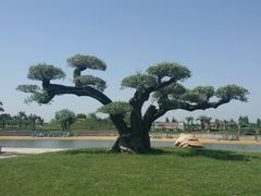 -南通洲际绿博园