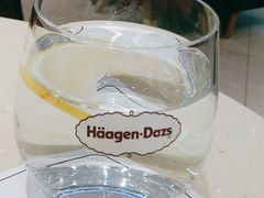 -哈根达斯(石家庄北国店)