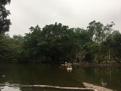 -海南热带野生动植物园