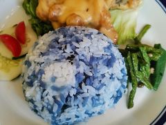 -马来MO简餐.南洋风味料理(美食街店)