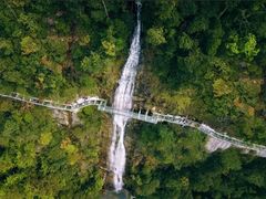 -九龙江国家森林公园