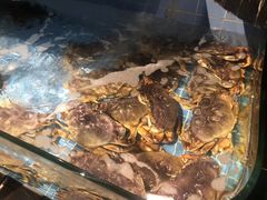 -阿杜打边炉(五江天街店)