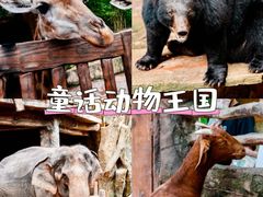 -长鹿旅游休博园