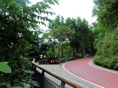 -金鸡山公园