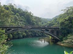 -鼎湖山风景区
