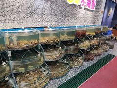 -仙螺岛海鲜自助餐厅(总店)
