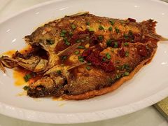 -乐福园酒楼(钟家村店)