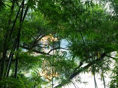 外景-广州市干部健康管理中心