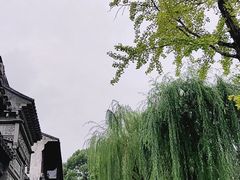 -檀园
