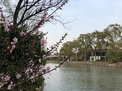 -上海佘山世茂艾美酒店