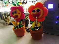 -JF Garden(渔人码头店)