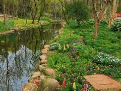 -上海共青森林公园