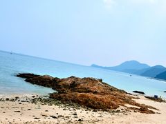 -杨梅坑