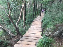 -白草畔自然风景区